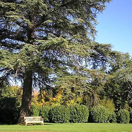 Du Chateau Mont D'onel 4*